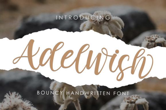 Adelwish: The Friendly Handwritten Typeface for Handmade Brands