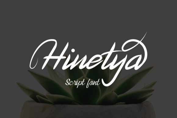 Hinetya Typeface Review: A Versatile Script for Digital Brands