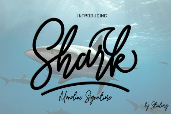 Shark: The Handwritten Font for Scroll-Stopping Brand Visuals