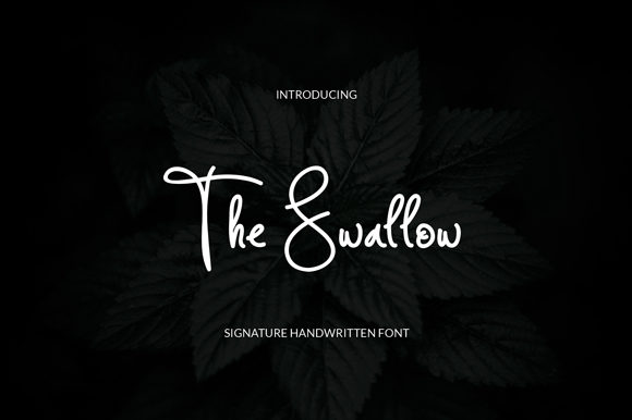 The Swallow Typeface: A Maker’s Review for Handmade Branding